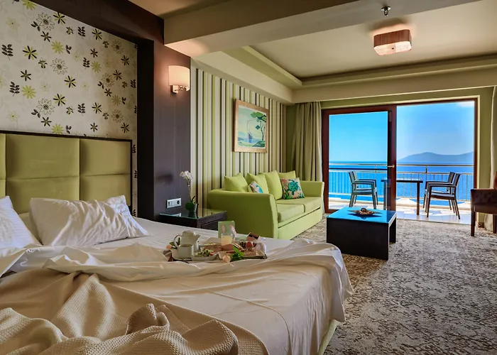 Odyssey & Agia Efimia