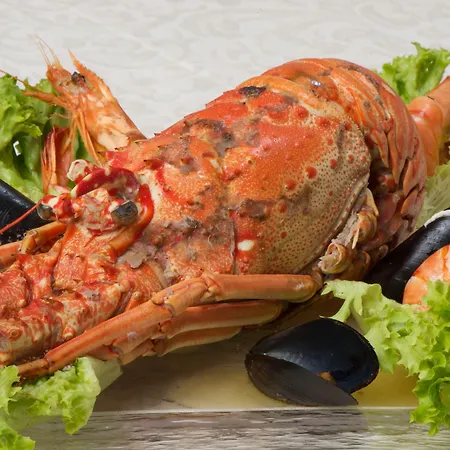 Odyssey & 4* أيّا إفيميا